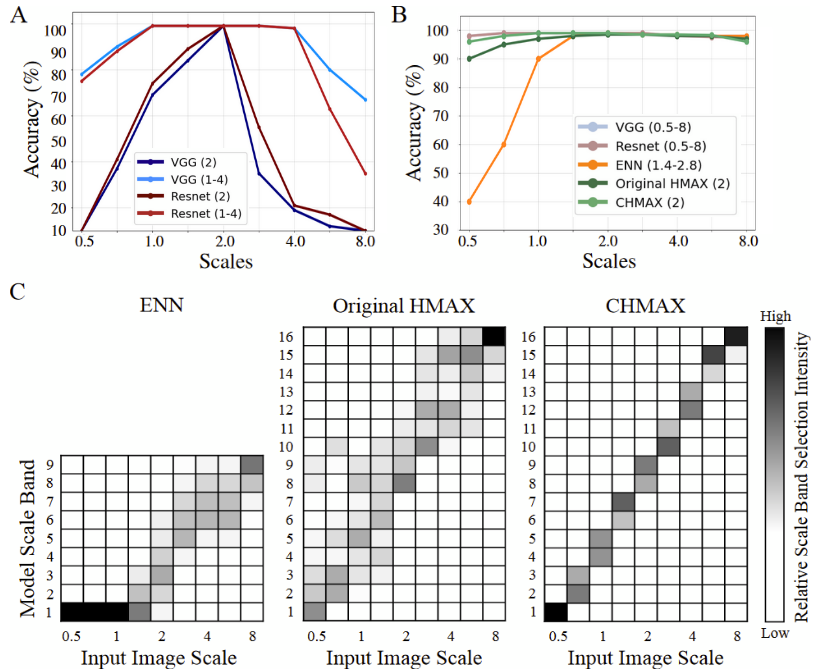 HMAX Scale Invariant Representations